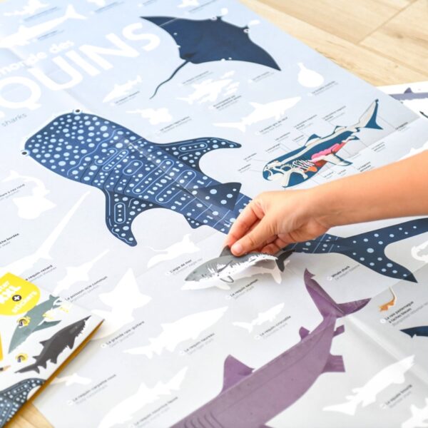 Poppik Discovery Sharks – Image 4