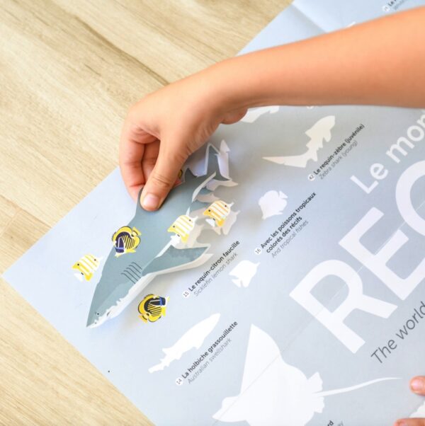 Poppik Discovery Sharks – Image 3