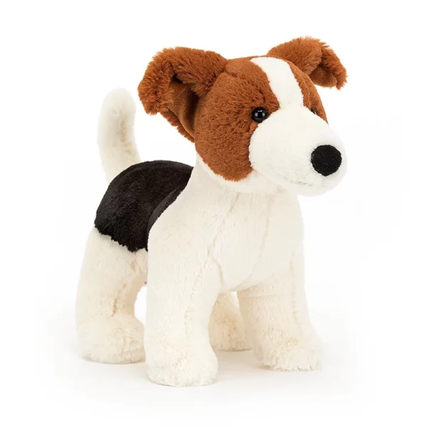 Chien Jack Russel Albert