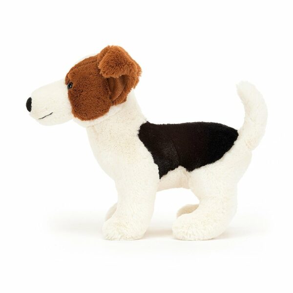 Chien Jack Russel Albert – Image 2