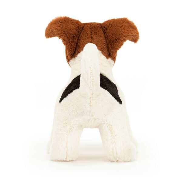 Chien Jack Russel Albert – Image 3