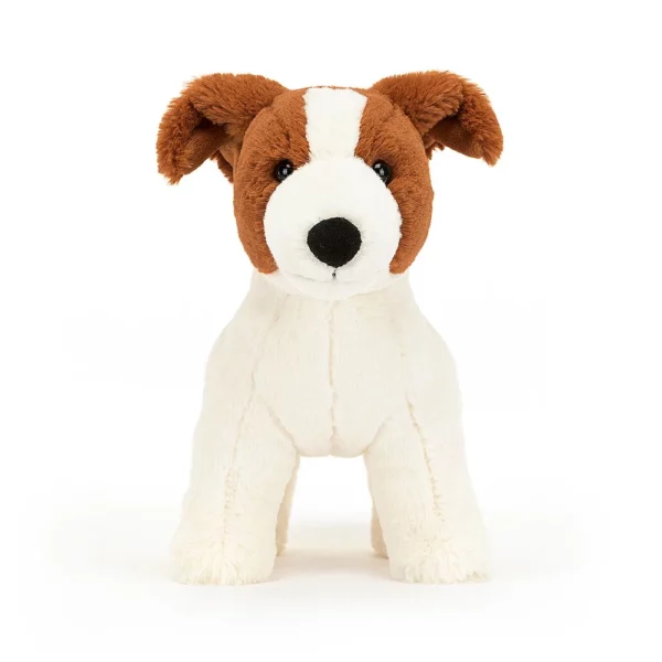 Chien Jack Russel Albert – Image 4