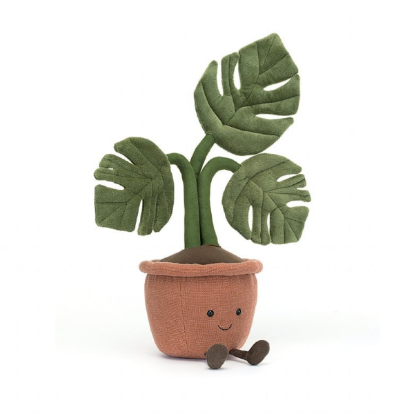 Amuseable monstera plant