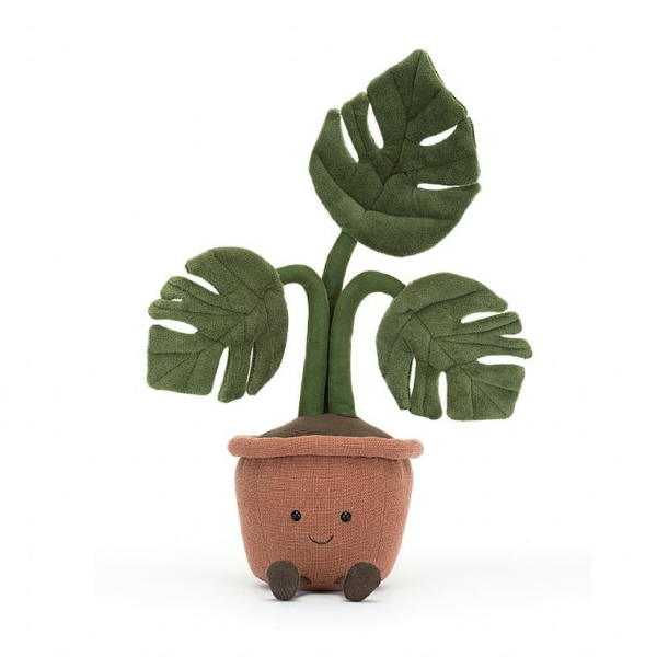 Amuseable monstera plant – Image 4