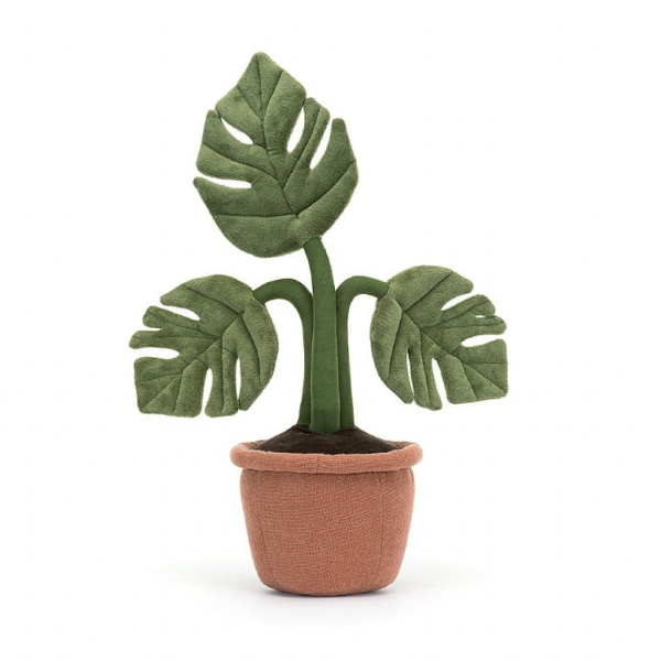 Amuseable monstera plant – Image 3