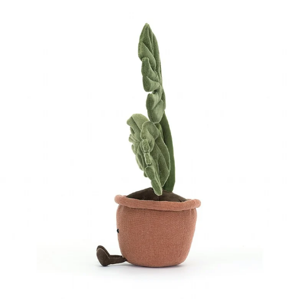 Amuseable monstera plant – Image 2