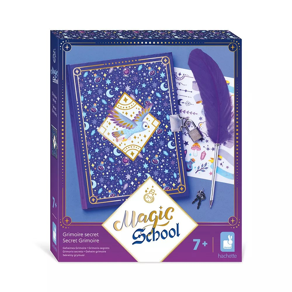 Journal Intime Princesses Janod - En Carton, Papier Et Métal - Pour Filles 7-8 Ans Et Plus - Créatif