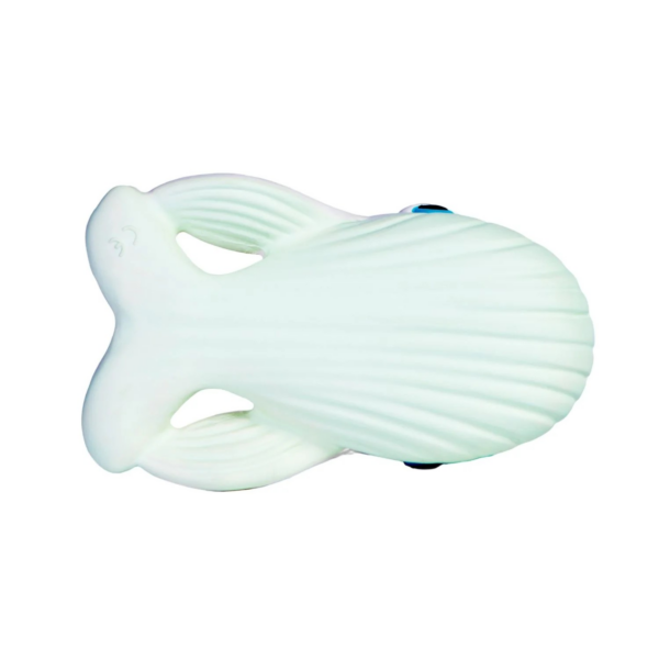 Walter la baleine – Image 4