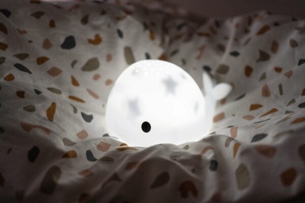 Projecteur Moby – Image 7