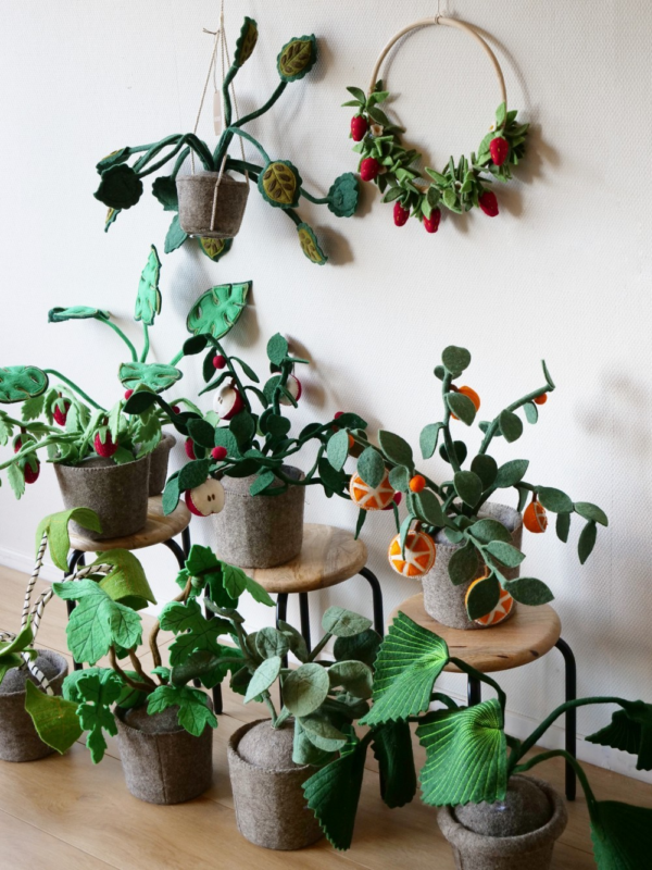Plante décoration en feutrine - Pileo Pepero – Image 2