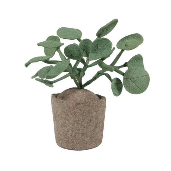 Plante décoration en feutrine - Pileo Pepero