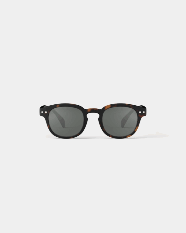 Junior SUN C -Tortoise – Image 5