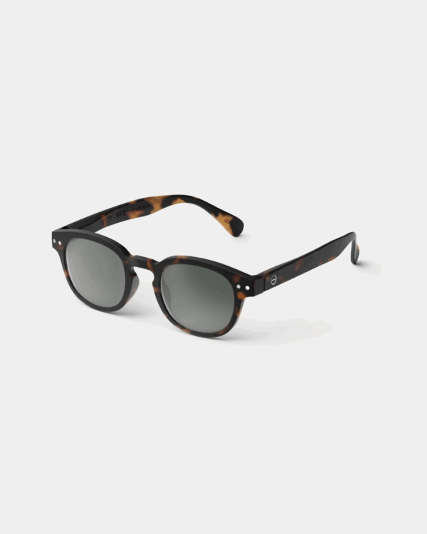 Junior SUN C -Tortoise