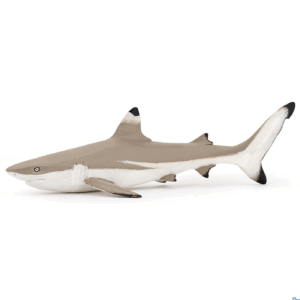Figurine - Requin pointe noire