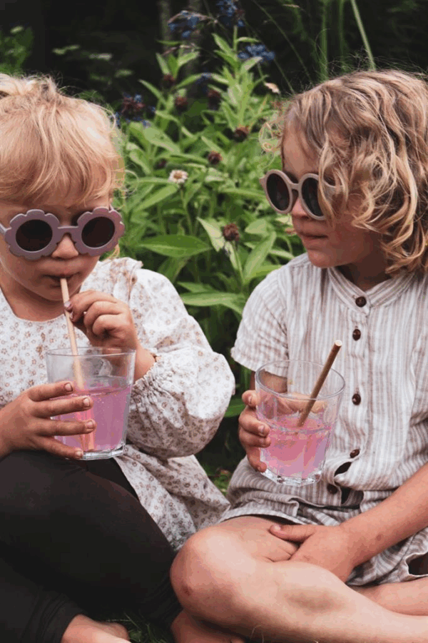 Lunettes de soleil Aster - Brun rosé – Image 3