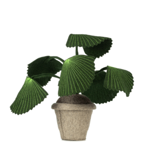 Plante deco - Pebbe