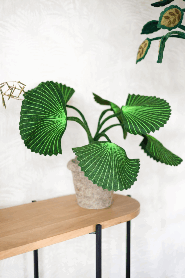 Plante deco - Pebbe – Image 2