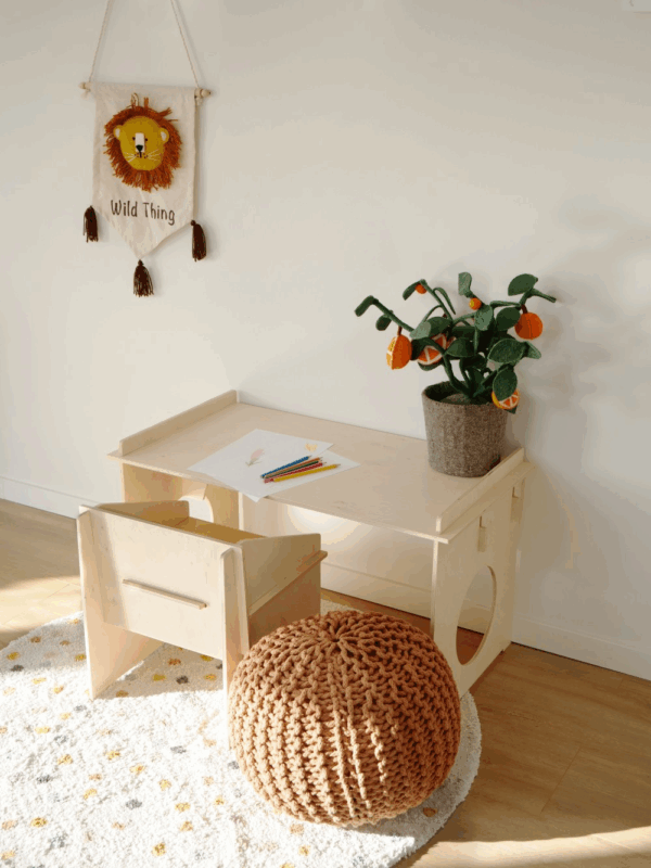 Plante déco - Oranger – Image 3