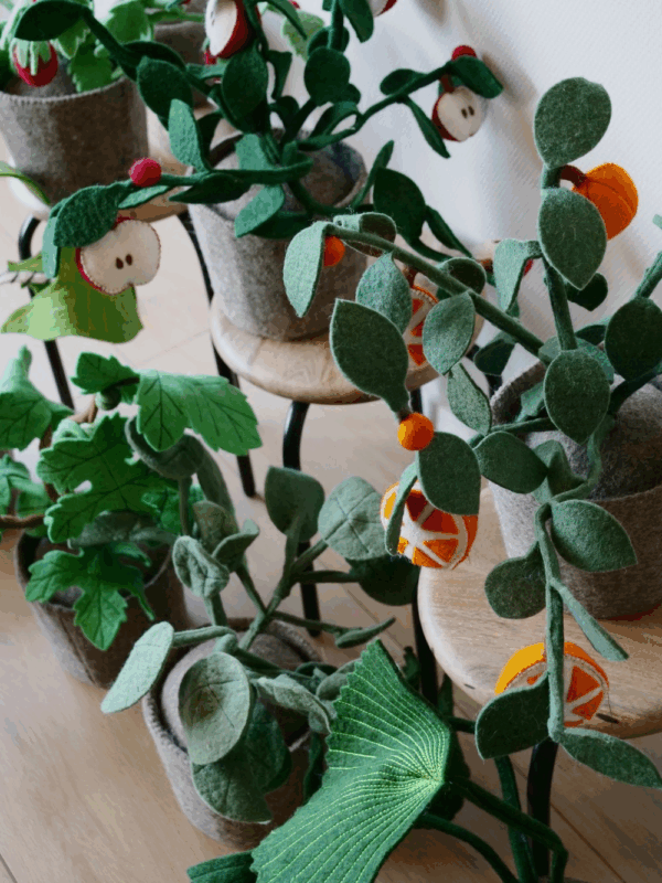 Plante déco - Oranger – Image 2
