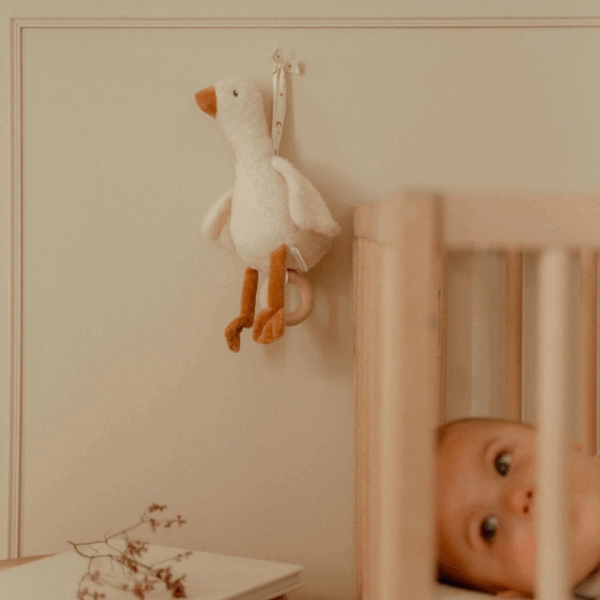 Boite à musique oie - Newborn – Image 4