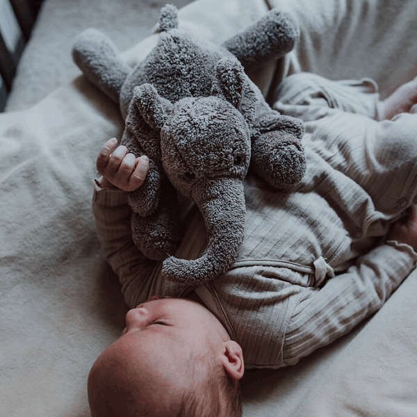 Peluche à bruits blancs rechargeable - Georges l'éléphant gris – Image 3