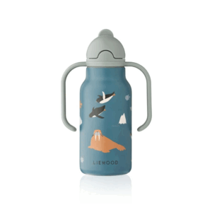 Gourde Kimmie 250 ml - Artic sea/Ocean view