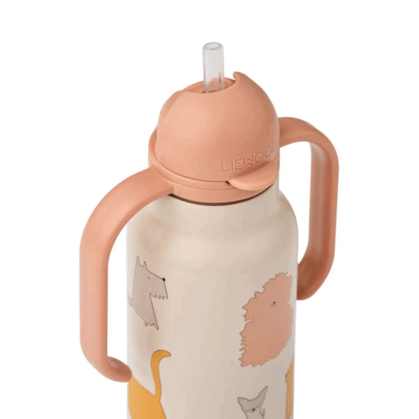 Gourde Kimmie 250 ml - Cats & Dogs Sandy – Image 2