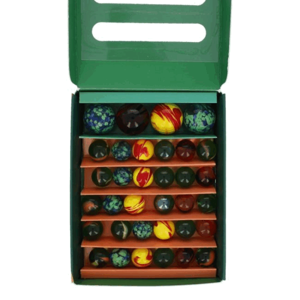 Coffret Billosaurus – Image 2