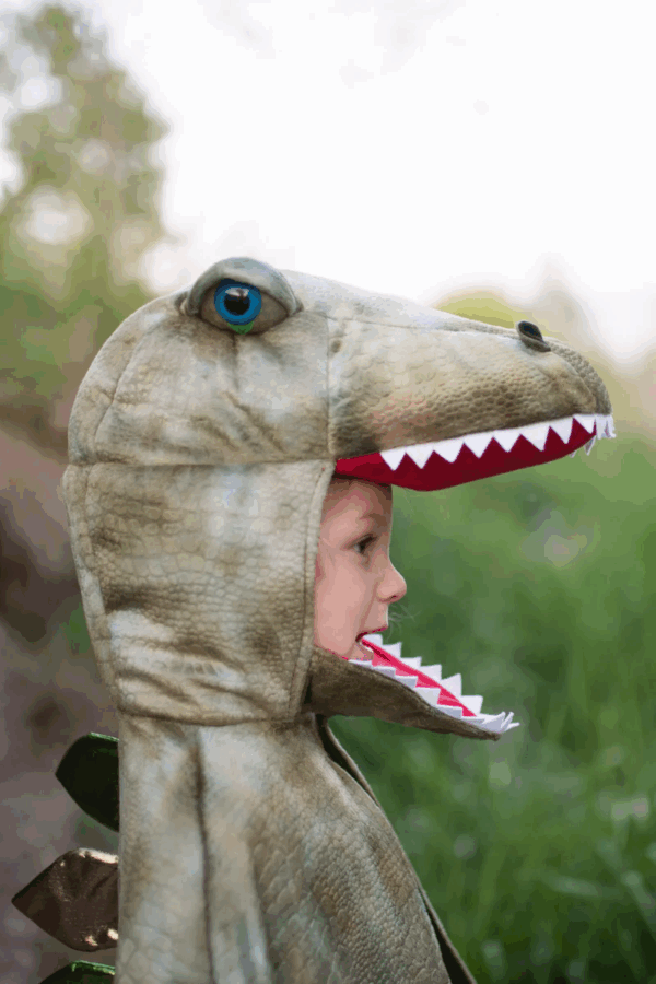 Cape dinosaure T-Rex avec griffes – Grandasaurus – Image 4
