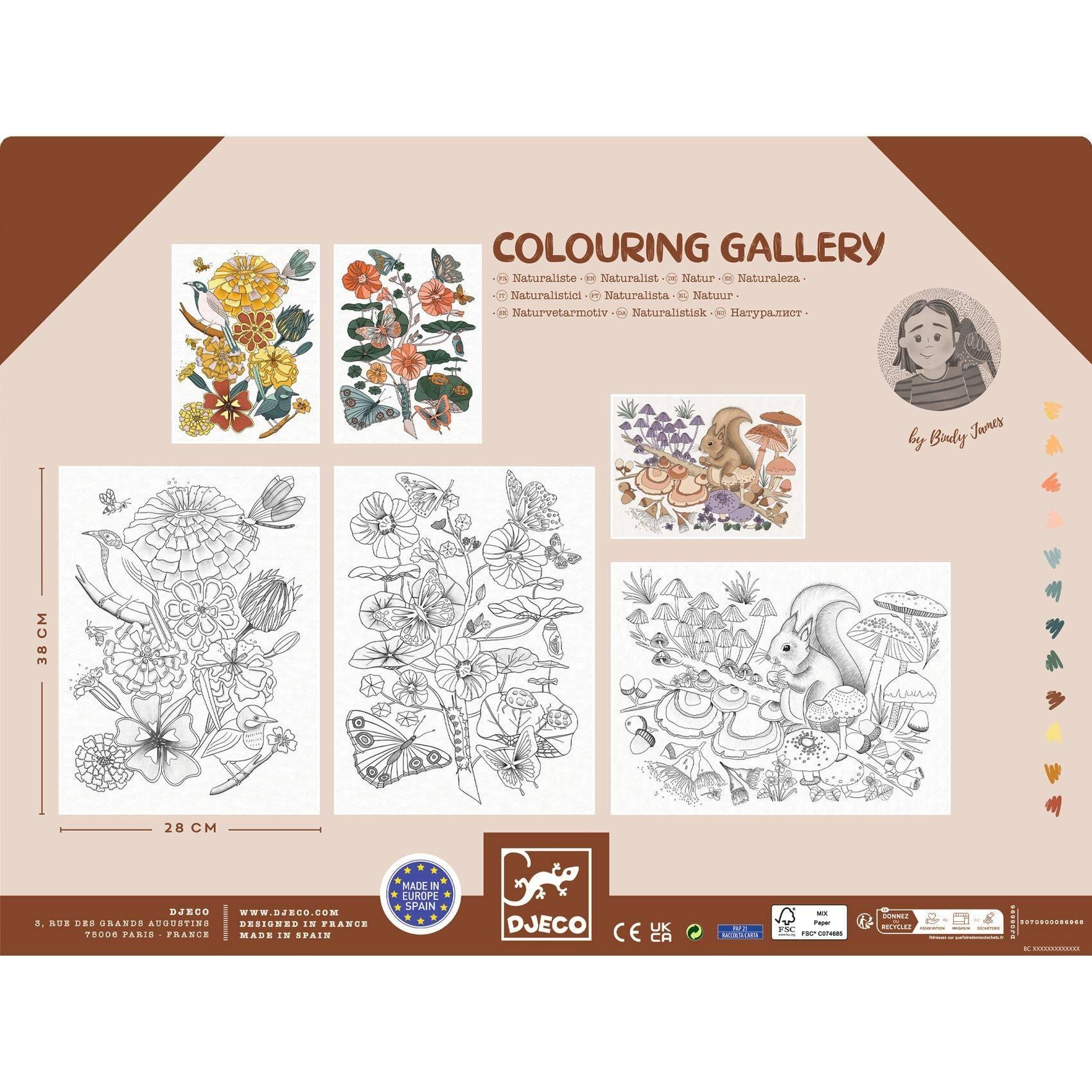Posters à colorier Naturaliste – Colouring gallery Djeco – Image 4