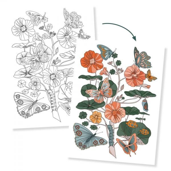 Posters à colorier Naturaliste – Colouring gallery Djeco – Image 2