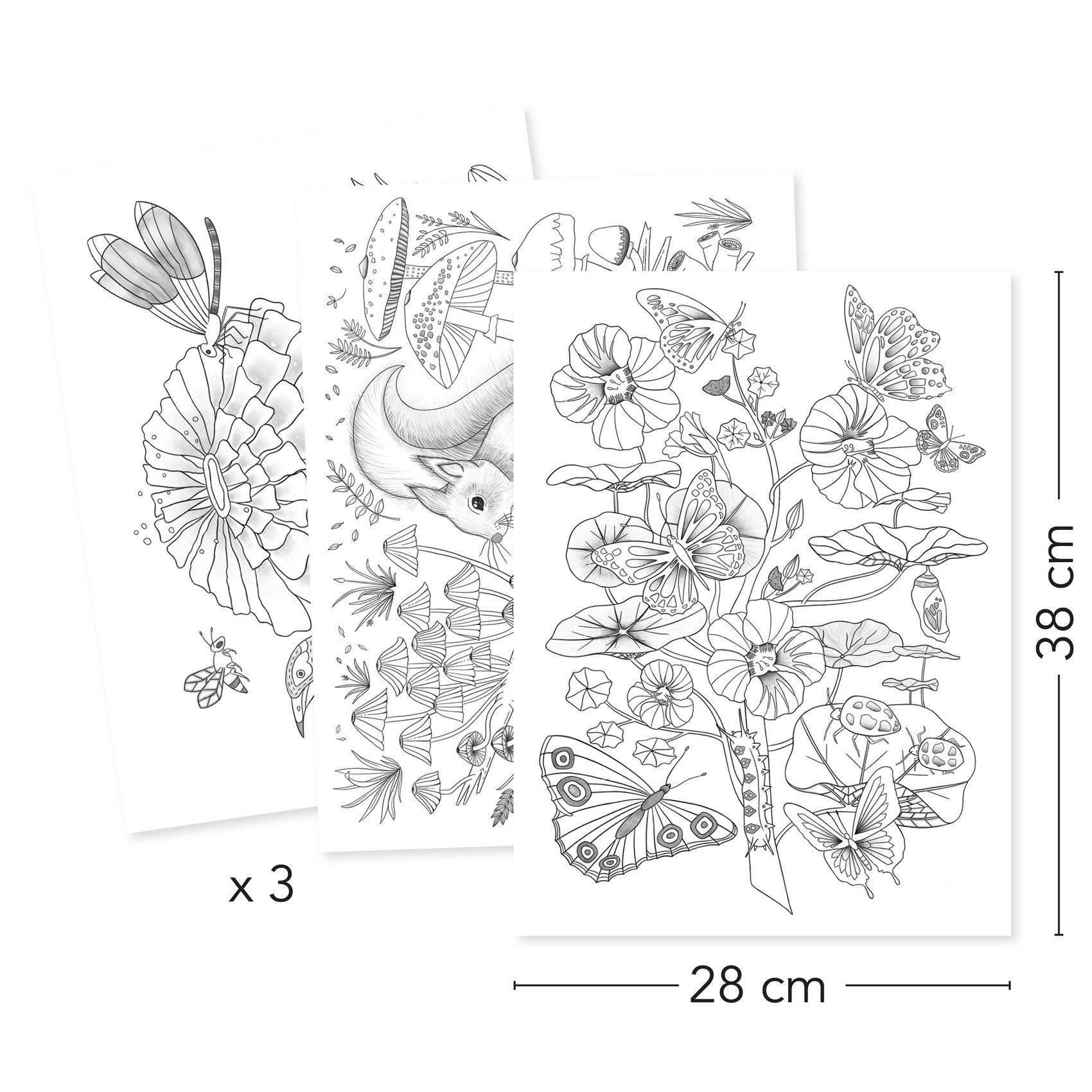 Posters à colorier Naturaliste – Colouring gallery Djeco – Image 3